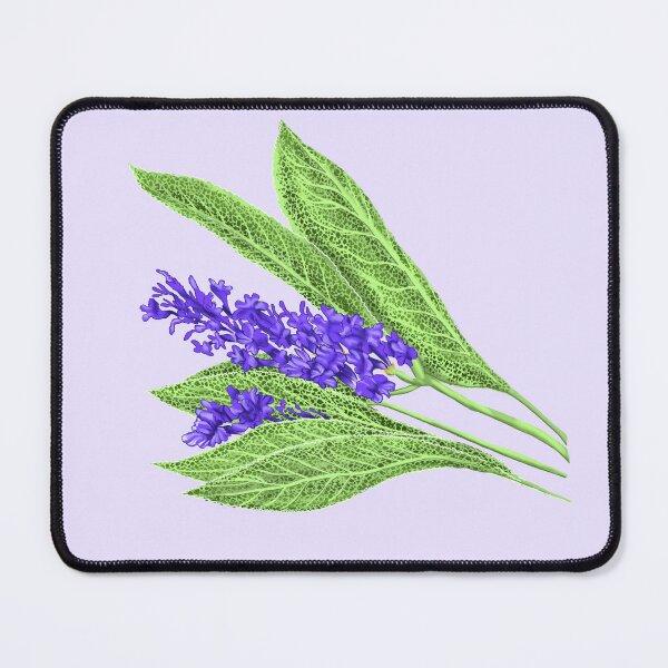Item preview, White Sage and Lavender designed and sold by Ibnat Ali.
