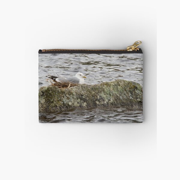 Item preview, Where ever I lay my eggs that's my home. Common Gull designed and sold by Jouko Lehto Photography.