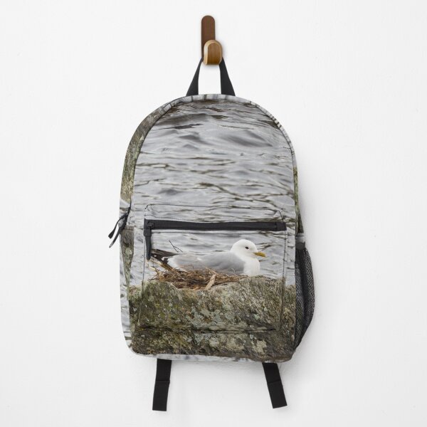 Item preview, Where ever I lay my eggs that's my home. Common Gull designed and sold by Jouko Lehto Photography.