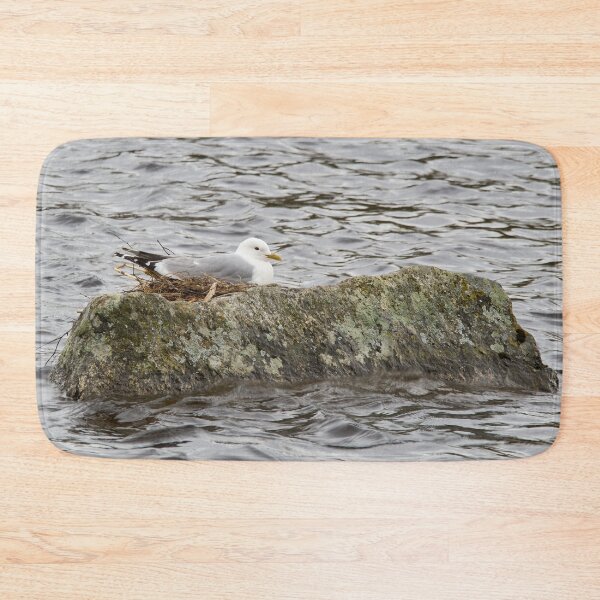 Item preview, Where ever I lay my eggs that's my home. Common Gull designed and sold by Jouko Lehto Photography.