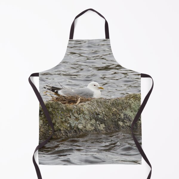 Item preview, Where ever I lay my eggs that's my home. Common Gull designed and sold by Jouko Lehto Photography.