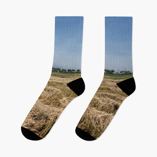 Item preview, End of harvest in the golden rice fields designed and sold by franck380.