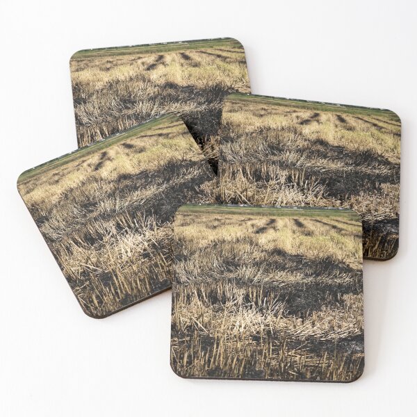Item preview, Agricultural landscape after harvest in Vietnam designed and sold by franck380.