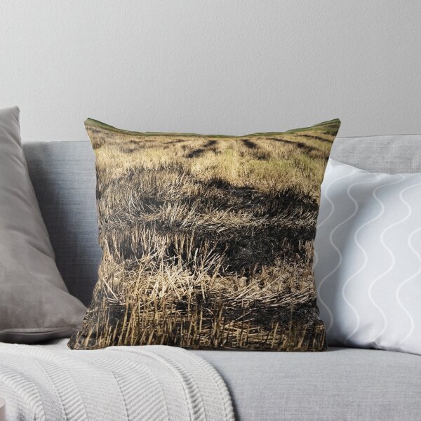 Item preview, Agricultural landscape after harvest in Vietnam designed and sold by franck380.