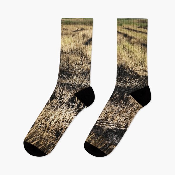 Item preview, Agricultural landscape after harvest in Vietnam designed and sold by franck380.