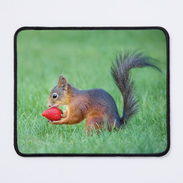 Item preview, The Squirrel and the Strawberry designed and sold by Mihaela Limberea.