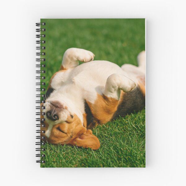 Item preview, Belly Up Sleeping Beagle in the Grass designed and sold by BellyUpHesotenAnimals.