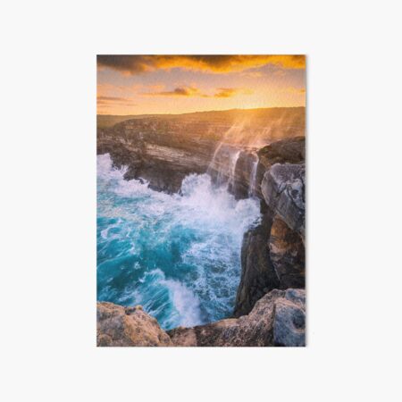 Art Board Print