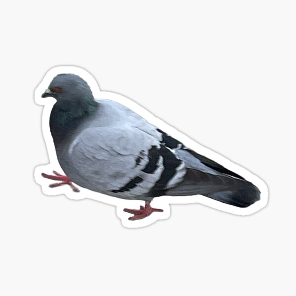 Item preview, Pigeon  designed and sold by Nadyastinyshop8.