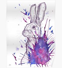 Hare splash (pinks and purples) Poster
