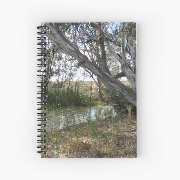 Item preview, Ghost gums designed and sold by sharon Wingard.