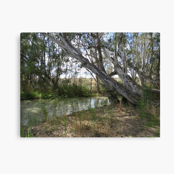 Item preview, Ghost gums designed and sold by sharon Wingard.