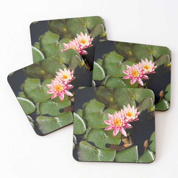 Item preview, Water Lily in Seoul designed and sold by Leo Eady Photography.