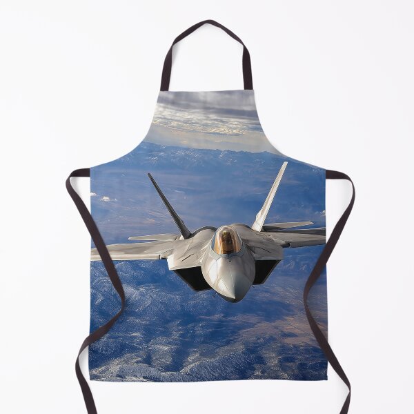Item preview, F-22 Raptor designed and sold by Skyframe Aviation.