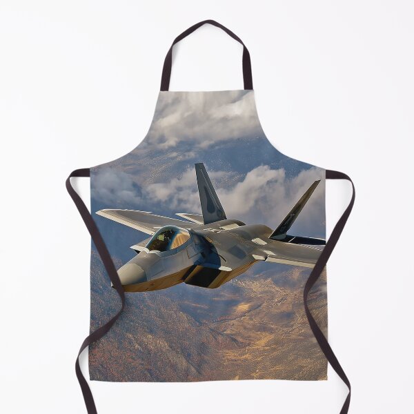 Item preview, F-22 Raptor designed and sold by Skyframe Aviation.