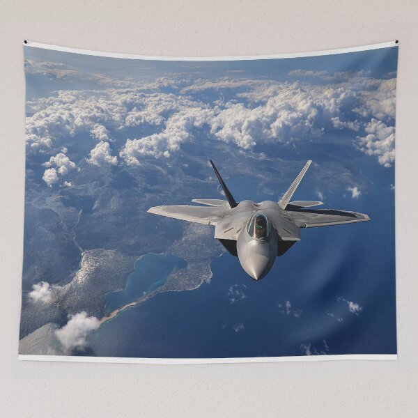 Artikelvorschau, F-22 Raptor entworfen und verkauft von Skyframe Aviation.