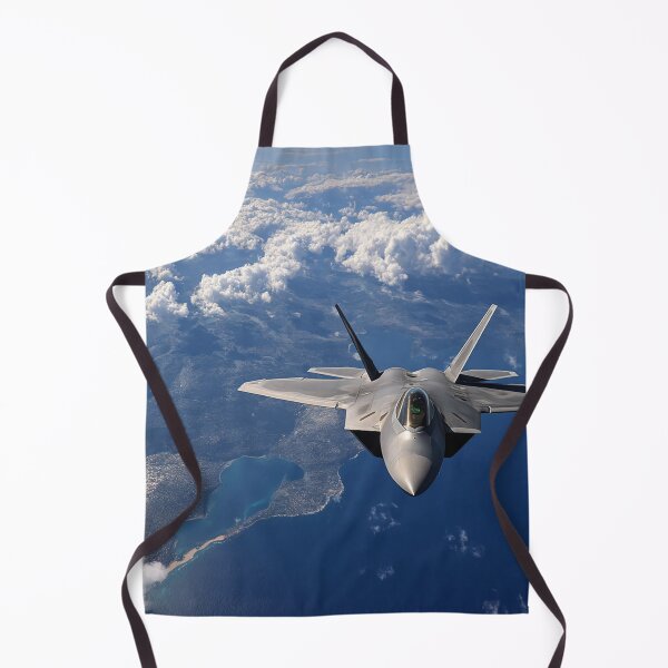 Item preview, F-22 Raptor designed and sold by Skyframe Aviation.