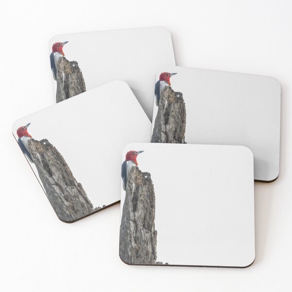 Item preview, Red-Headed Woodpecker Guarding the Nest  designed and sold by Puttaswamy Ravishankar.