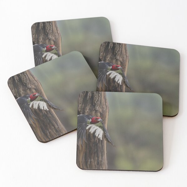 Item preview, Red-headed woodpecker leaves the nest after feeding its babies designed and sold by Puttaswamy Ravishankar.
