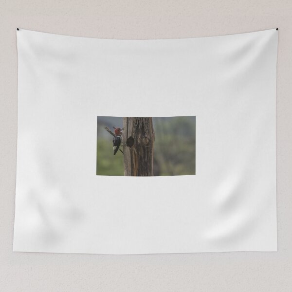 Item preview, Red-Headed Woodpecker with Food designed and sold by Puttaswamy Ravishankar.