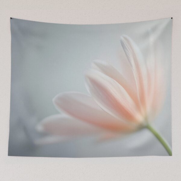 Item preview, Soft petals of a delicate flower designed and sold by anytka.