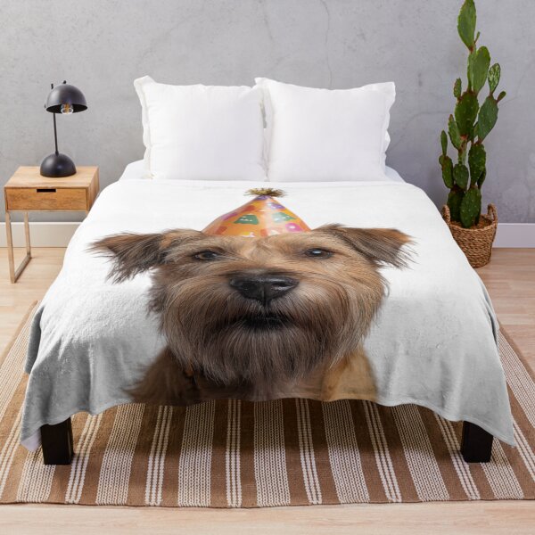 Item preview, Cute Glen of Imaal Terrier dog with Party Hat Birthday Celebration designed and sold by LazyOwlStore.