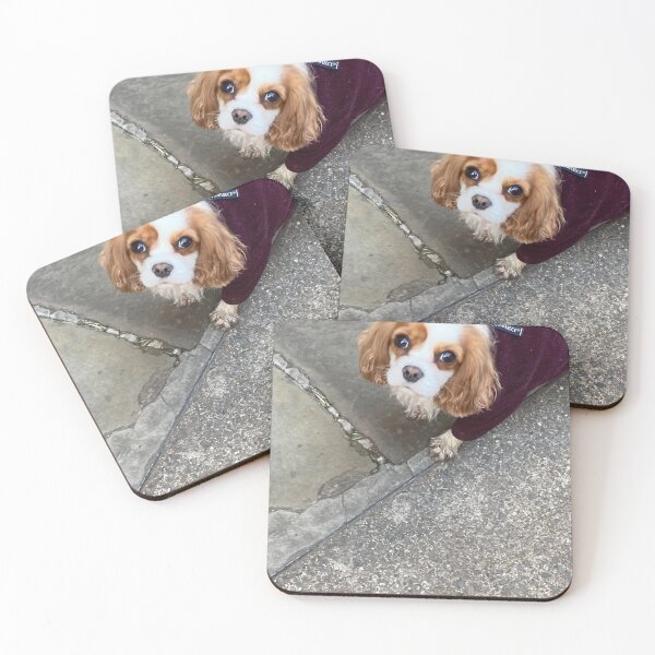 Item preview, Cavalier King Charles spaniel with fleece dog coats  designed and sold by KateEsdaile.