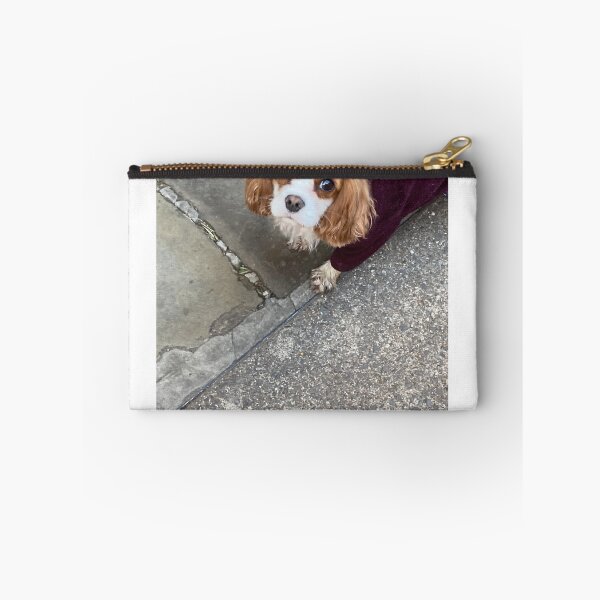 Item preview, Cavalier King Charles spaniel with fleece dog coats  designed and sold by KateEsdaile.