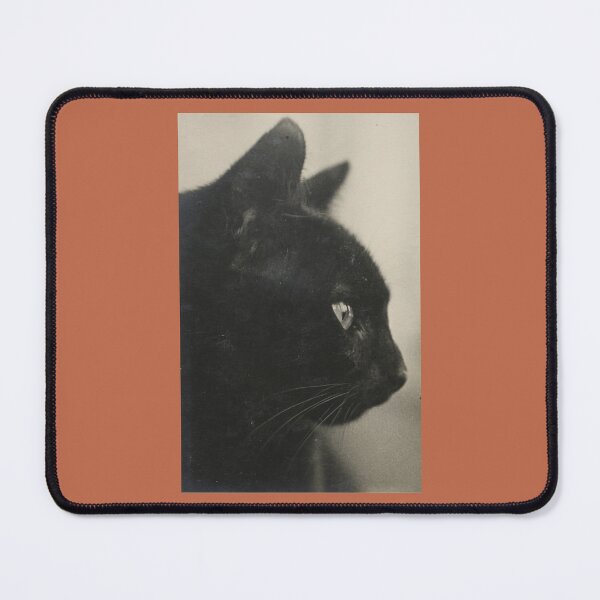 Item preview, Art by Mike Art Photography Black Cat Tiger designed and sold by allartbymike.