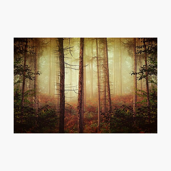 Item preview, Misty October Forest designed and sold by Dyrk Wyst Redbubble Shop.
