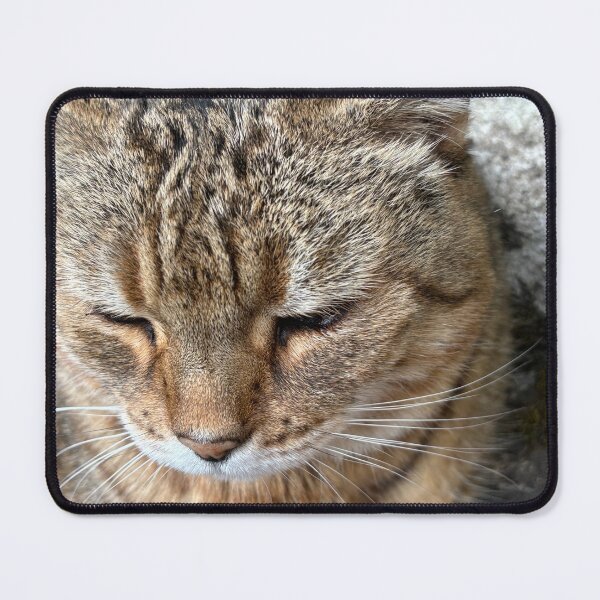 Item preview, Tabby cat  designed and sold by KateEsdaile.