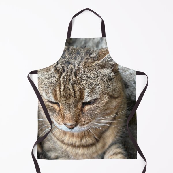 Item preview, Tabby cat designed and sold by KateEsdaile.