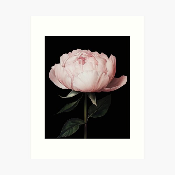 Item preview, Large peony designed and sold by Elite Print Studio.