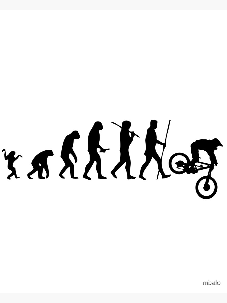 Mtb evolution 2024