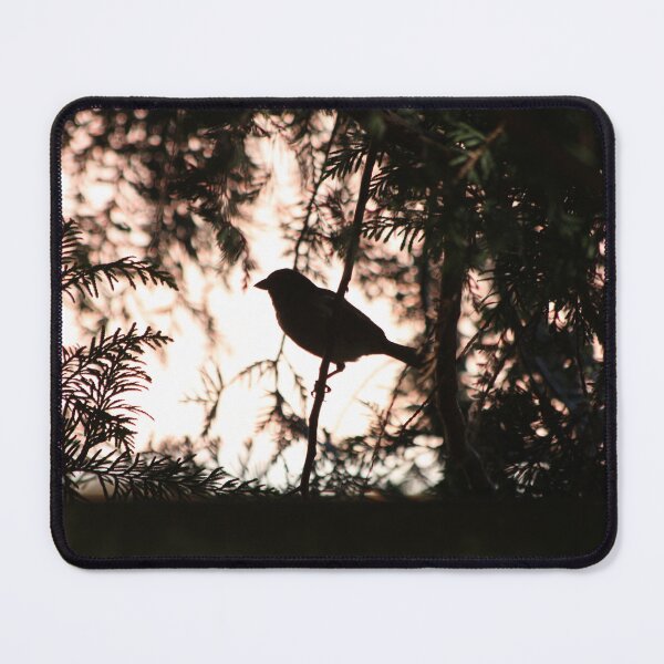 Item preview, Backlit bird on branch designed and sold by PinkiesPictures.
