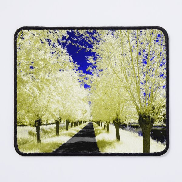 Item preview, Biesbosch National Park in the Netherlands designed and sold by Photos By Michel.