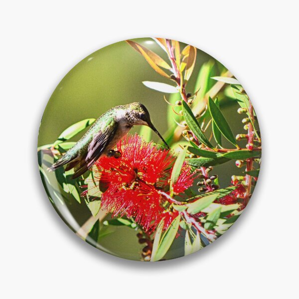 Item preview, Bottlebrush And Hummingbird designed and sold by LisaWootenPhoto.