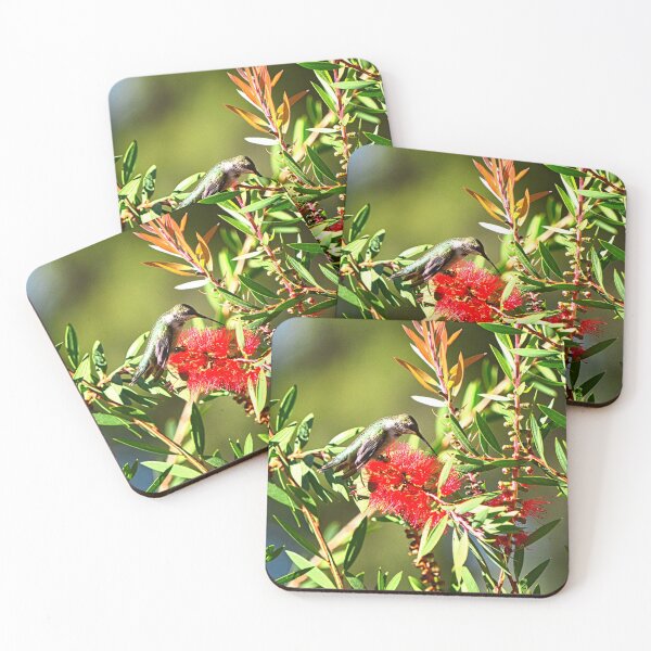 Item preview, Bottlebrush And Hummingbird designed and sold by LisaWootenPhoto.