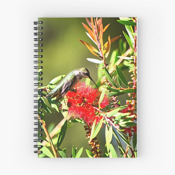 Item preview, Bottlebrush And Hummingbird designed and sold by LisaWootenPhoto.