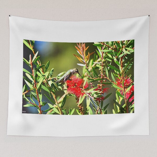 Item preview, Bottlebrush And Hummingbird designed and sold by LisaWootenPhoto.