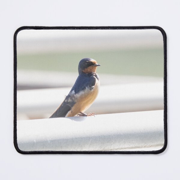 Item preview, Barn Swallow designed and sold by LaurenTucker.