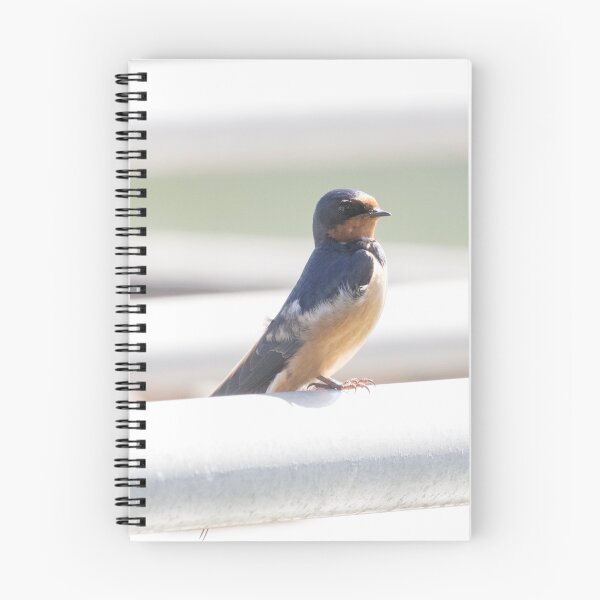 Item preview, Barn Swallow designed and sold by LaurenTucker.