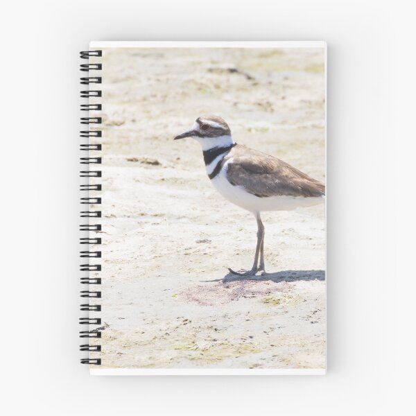 Item preview, Killdeer designed and sold by LaurenTucker.