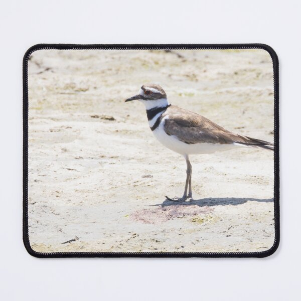 Item preview, Killdeer designed and sold by LaurenTucker.