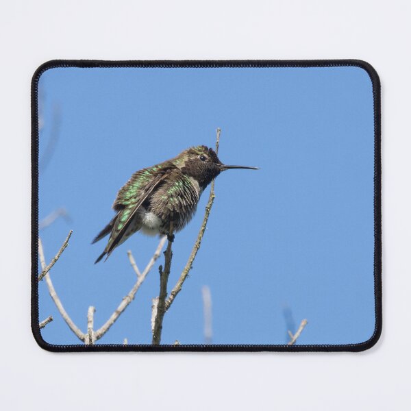Item preview, Anna's Hummingbird designed and sold by LaurenTucker.