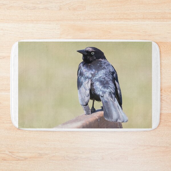 Item preview, Brewer's Blackbird designed and sold by LaurenTucker.