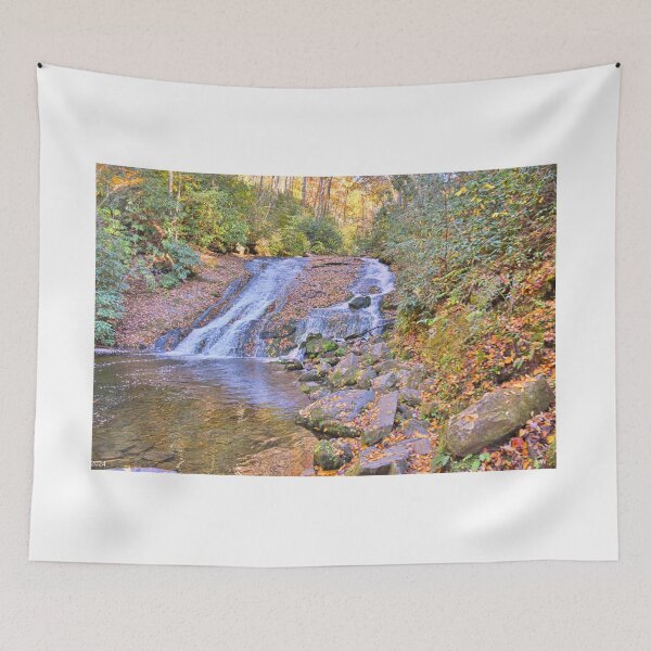 Item preview, Indian Creek Falls At Deep Creek Park North Carolina In Autumn designed and sold by LisaWootenPhoto.