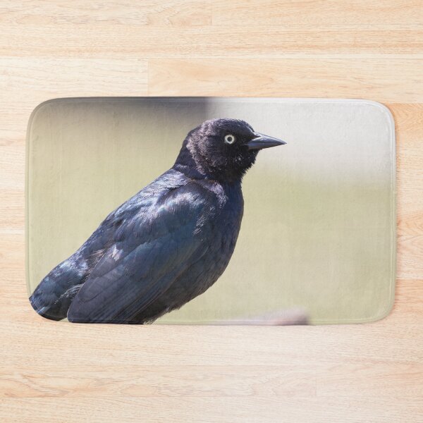 Item preview, Brewer's Blackbird designed and sold by LaurenTucker.
