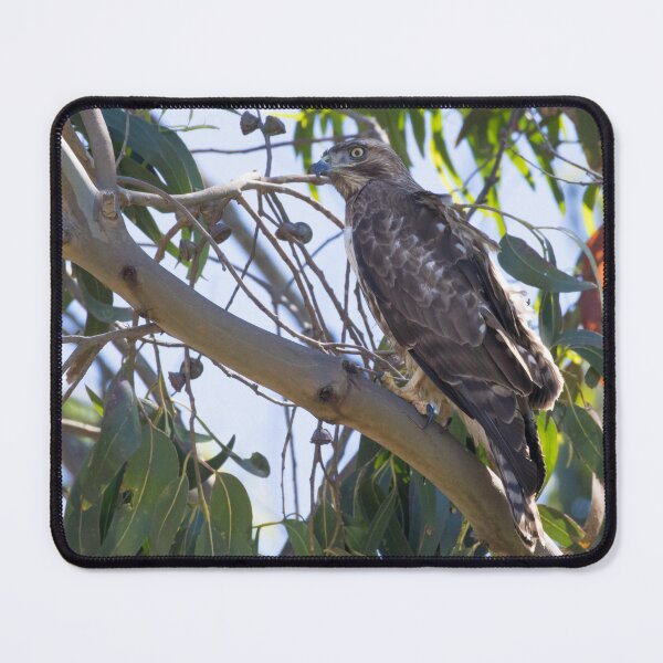 Item preview, Red Tailed Hawk designed and sold by LaurenTucker.