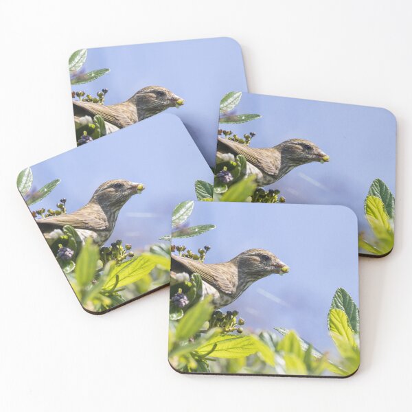 Item preview, House Finch designed and sold by LaurenTucker.